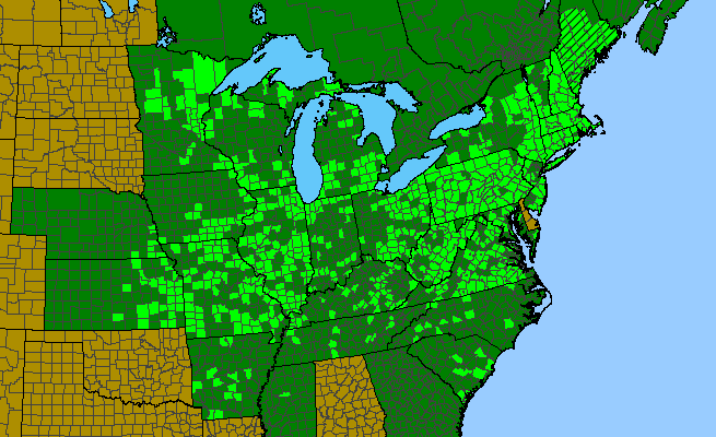 The range of Rubus pensilvanicus